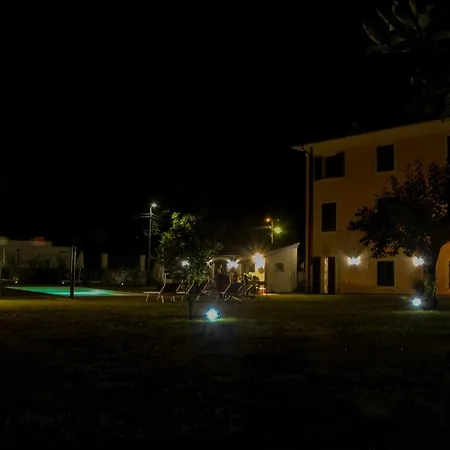 Garden Relays Rosy *