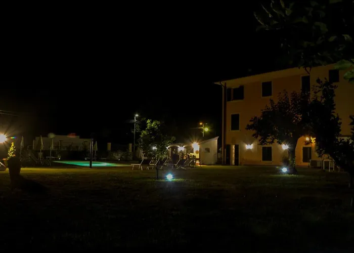 Garden Relays Rosy *